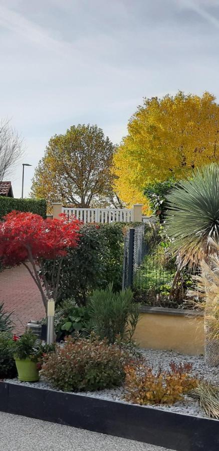 Ma Maison Fleurie Proche Aeroport Lyon St Exupery, Ldlc Arena, Groupama Stadium,Eurexpo Janneyrias Exterior photo