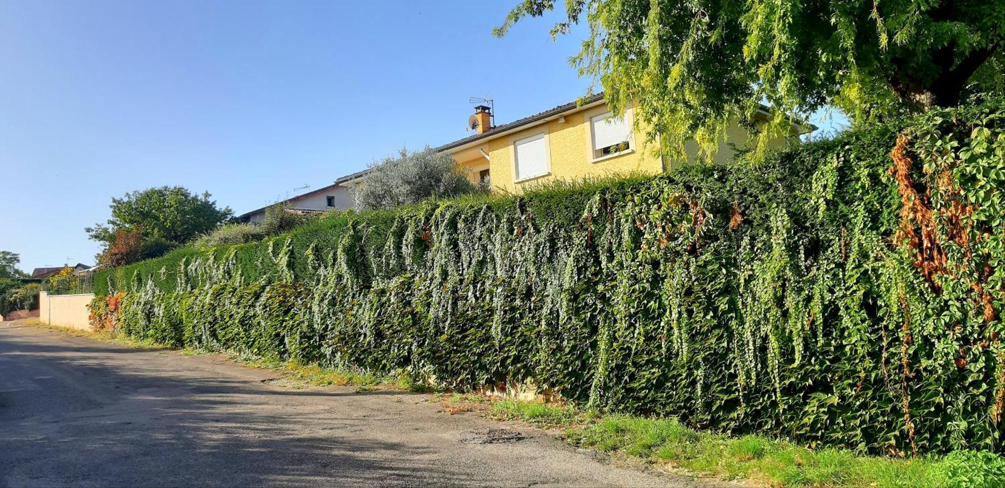 Ma Maison Fleurie Proche Aeroport Lyon St Exupery, Ldlc Arena, Groupama Stadium,Eurexpo Janneyrias Exterior photo