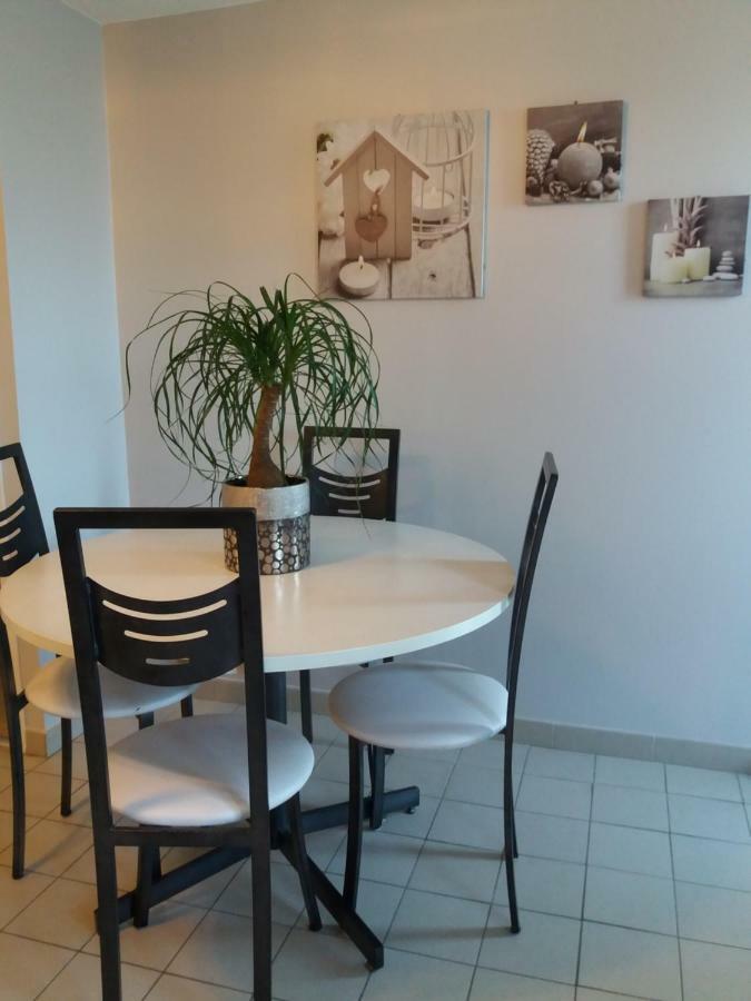 Ma Maison Fleurie Proche Aeroport Lyon St Exupery, Ldlc Arena, Groupama Stadium,Eurexpo Janneyrias Exterior photo