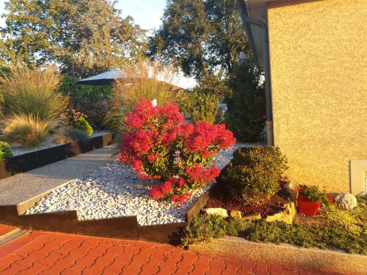 Ma Maison Fleurie Proche Aeroport Lyon St Exupery, Ldlc Arena, Groupama Stadium,Eurexpo Janneyrias Exterior photo