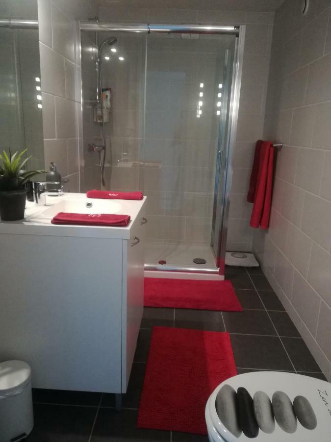 Ma Maison Fleurie Proche Aeroport Lyon St Exupery, Ldlc Arena, Groupama Stadium,Eurexpo Janneyrias Exterior photo